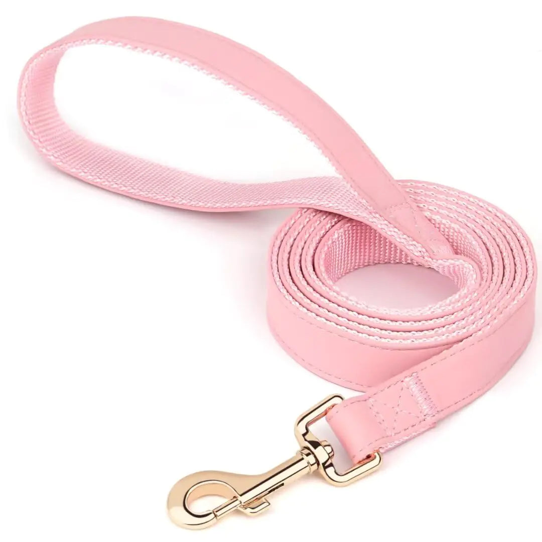 PET ARTIST Leather Dog Leash Colorful Leather Leash 5ft