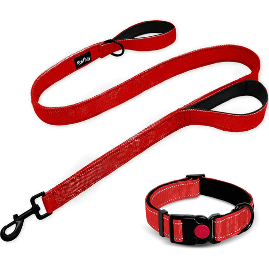 Dog Leashes for Large Dogs  6FT