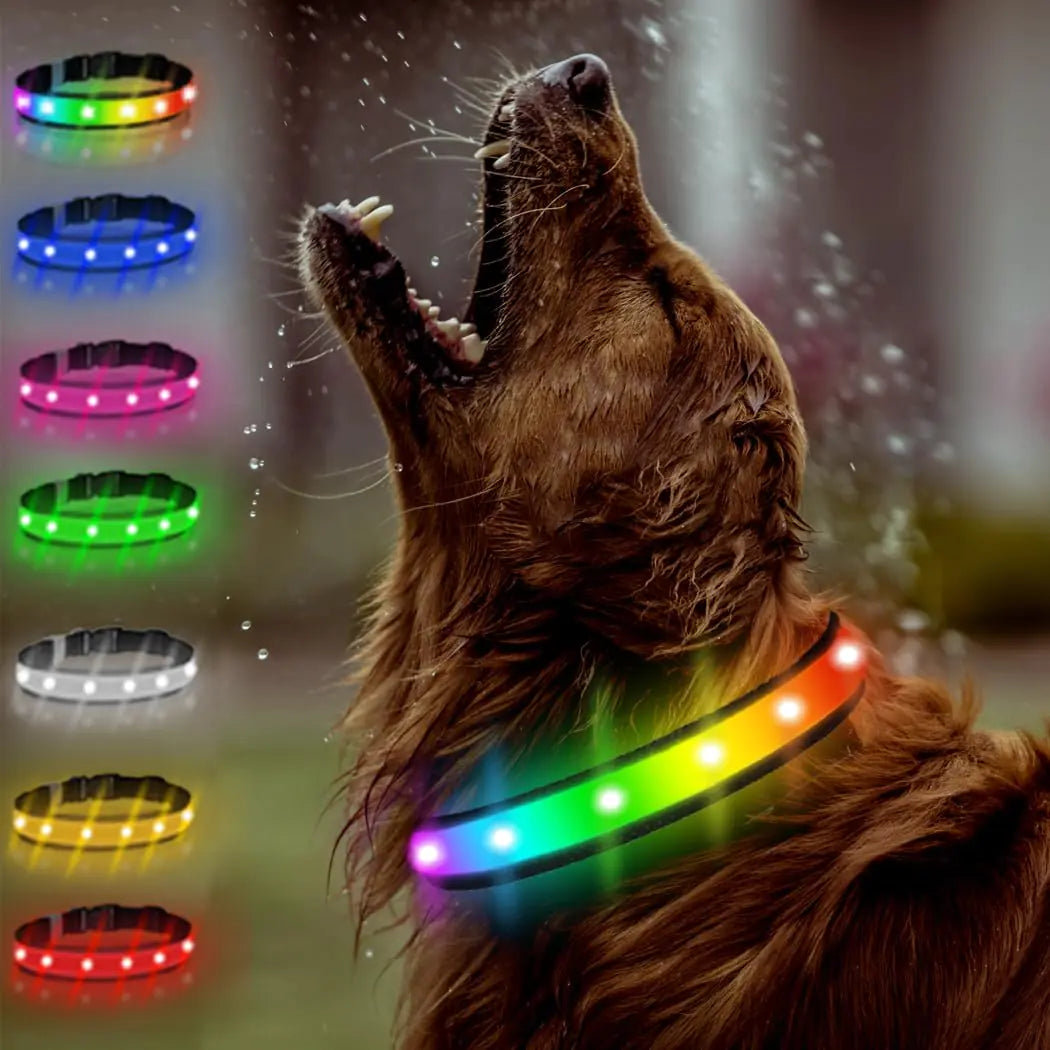 TRIPOLACO Light Up Multicolor Dog Collar Rechargeable  (Black L)