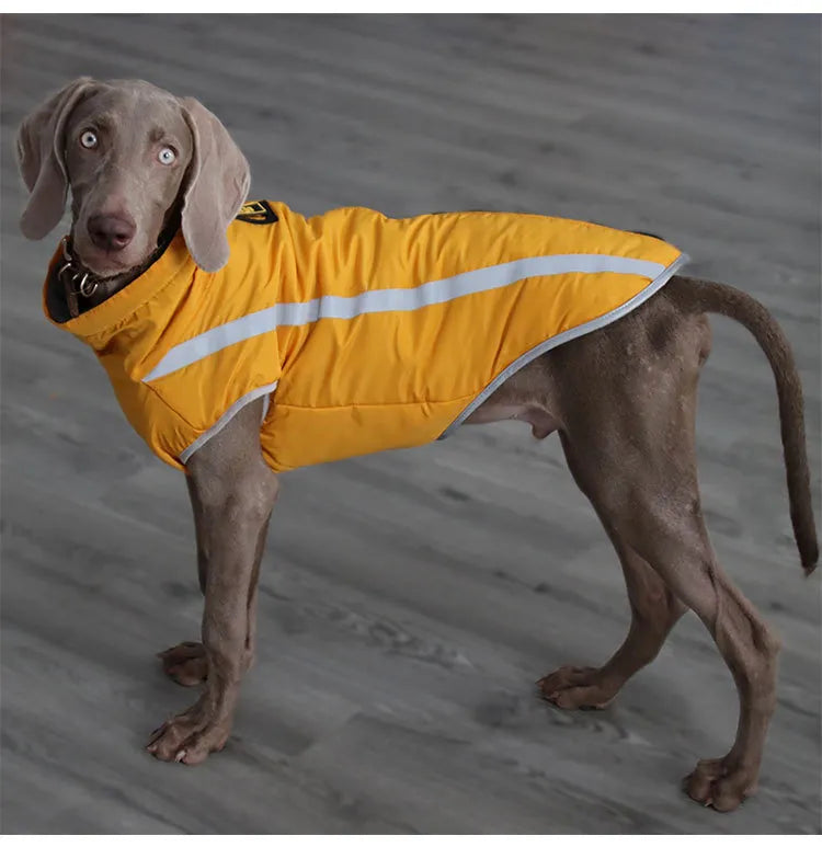 Thickened dog clothes windproof pet jacket