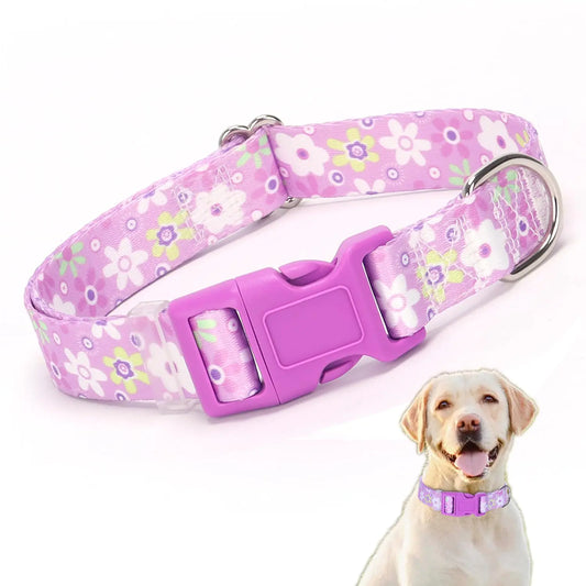 Girl Dog Collars Pretty Floral Pattern Design